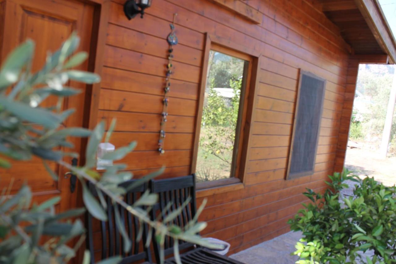 Sakin Vadi Winehouse Bed and Breakfast Orhaniye  Εξωτερικό φωτογραφία