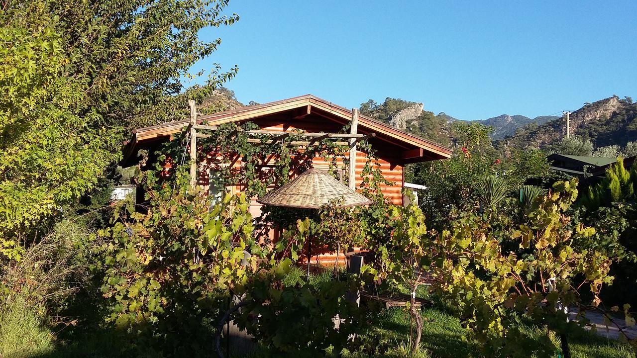 Sakin Vadi Winehouse Bed and Breakfast Orhaniye  Εξωτερικό φωτογραφία